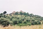 Panorama di Capalbio